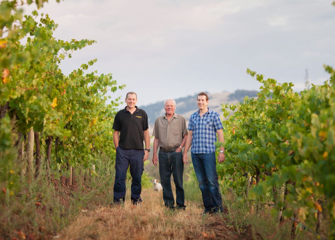 Three men in the Fratin Brothers vineyard